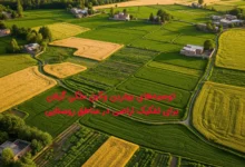 توصیه‌های بهترین وکیل ملکی گیلان برای تفکیک اراضی در مناطق روستایی