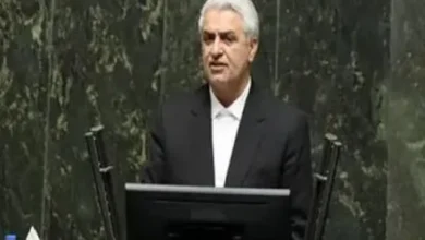 علیجانی: در بررسی صلاحیت وزیر پیشنهادی اقتصاد دقت لازم را داشته باشیم