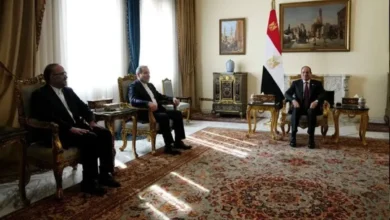 عراقچی با رئیس‌جمهور مصر دیدار کرد