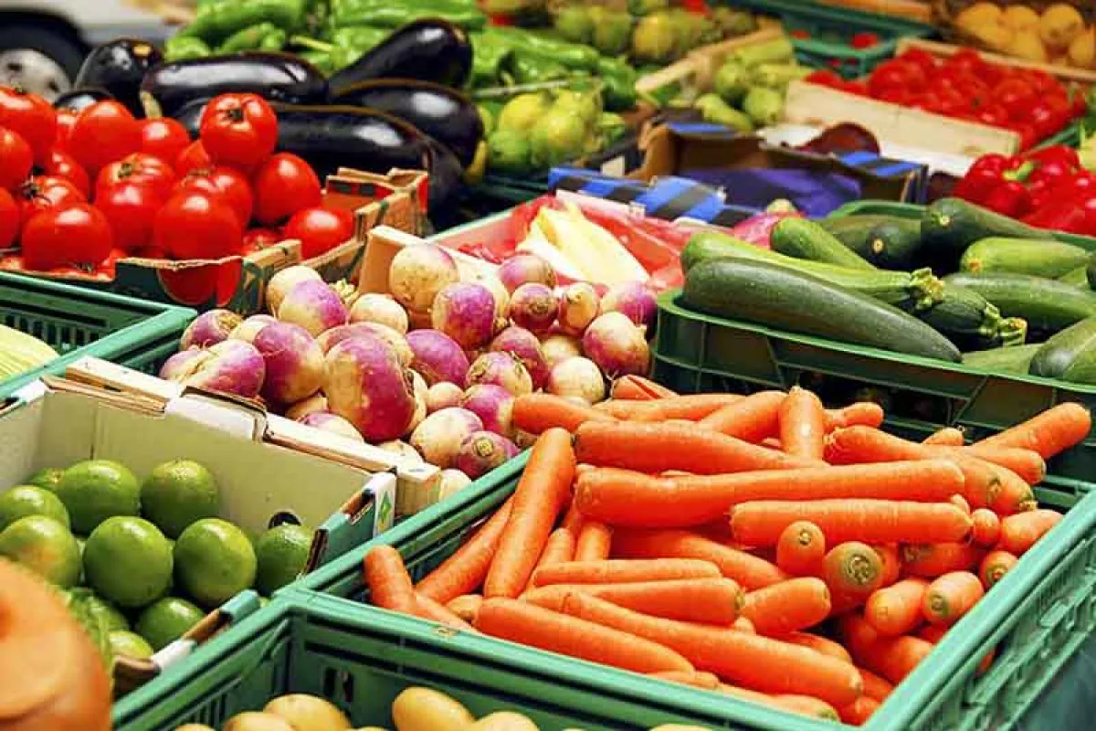 قیمت خرید تضمینی ۳۲ قلم محصولات اساسی کشاورزی تا ۱۵ تیر ماه اعلام می‌شود