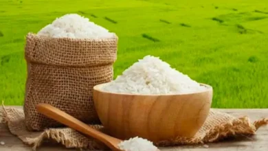 قیمت برنج ایرانی