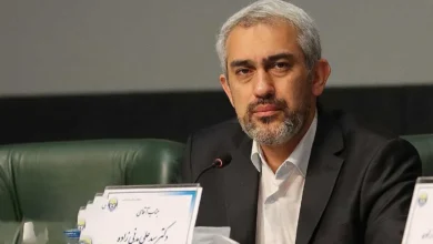 مدنی‌زاده