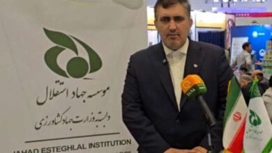 ١٠ هزار تن حبوبات تنظیم بازاری در هفته آینده توزیع می‌شود؛ انبارهای روغن مملو از ذخایر