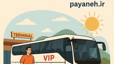چطور در تابستان راحت‌تر با اتوبوس سفر کنیم؟
