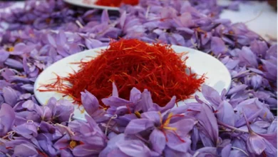 قیمت زعفران