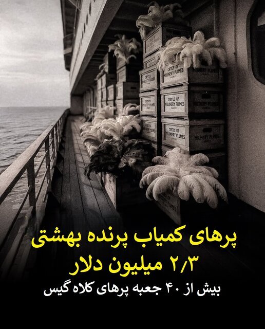 لیست گنجینه هایی که از اعماق تایتانیک / پوشش خییام در دریا بازیابی نمی شوند