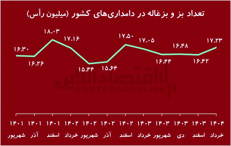 زنگ هشدار به کاهش نادر در گاو/ گوشت قرمز تبدیل می شود؟