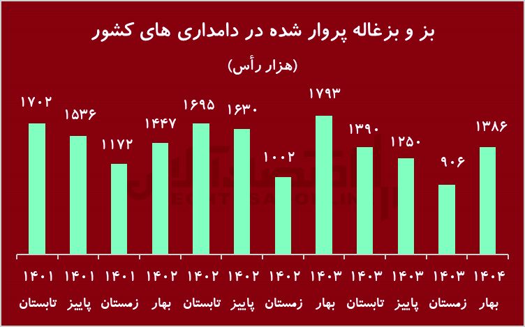زنگ هشدار به کاهش نادر در گاو/ گوشت قرمز تبدیل می شود؟