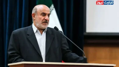 سرمایه‌گذاران