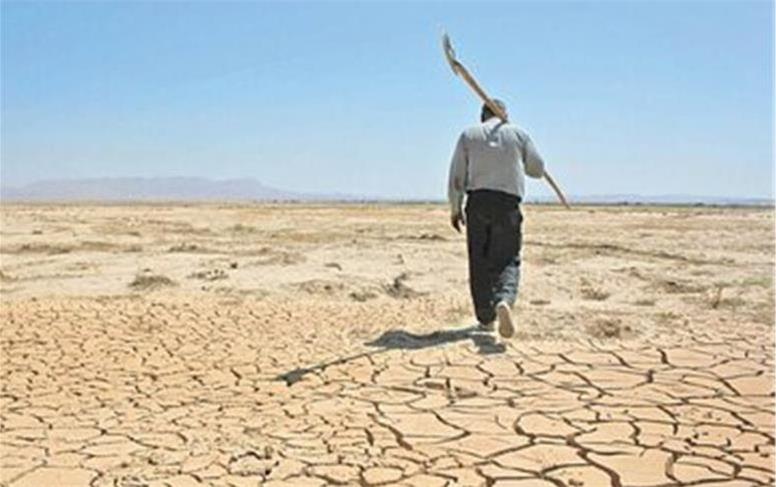 خشکسالی به کشاورزی هم آسیب زد/ محصولی که از بین رفت