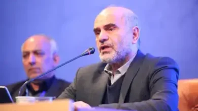 مومنی: خصوصی‌سازی بی‌ضابطه تولید ملی را تضعیف کرد