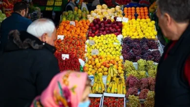 شوک قیمت میوه در بازار پرمحصول تابستان