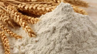 قیمت آرد