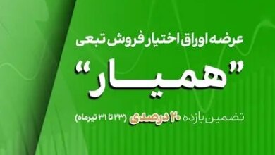 طرح بیمه سهام همیار در بورس تهران