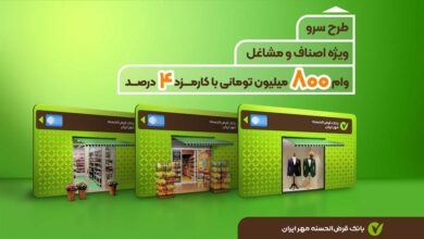 طرح سرو بانک مهر ایران؛ مزایا و چالش تسهیلات ۸۰۰ میلیونی