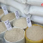 قیمت برنج ایرانی از مرز ۳۰۰ هزار تومان عبور کرد / تولیدکنندگان و صادرکنندگان برنج خواستار حذف ارز ترجیحی هستند