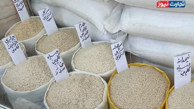 قیمت برنج ایرانی از مرز ۳۰۰ هزار تومان عبور کرد / تولیدکنندگان و صادرکنندگان برنج خواستار حذف ارز ترجیحی هستند