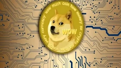قیمت دوج کوین