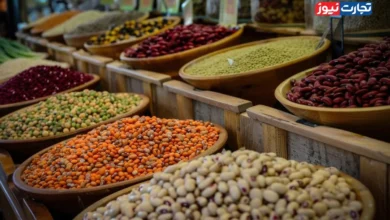 قیمت لوبیاچیتی در بنکداری‌ها به ۳۹۰ هزار تومان رسید / کمبود محصول و افزایش صادرات عامل اصلی افزایش قیمت حبوبات هستند