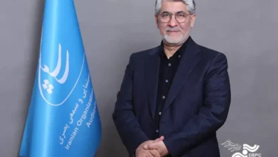 محمد حمیدی مقدم دبیر جشنواره نوزدهم «سینما حقیقت» شد