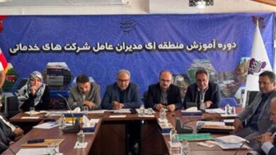 ناترازی انرژی چالش جدید شهرک‌های صنعتی؛ نیازمند منابع مالی پایدار هستیم