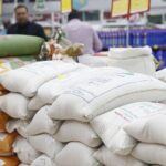 واردات برنج در فصل برداشت خلاف قانون است | دولت از توزیع برنج خارجی جلوگیری کند