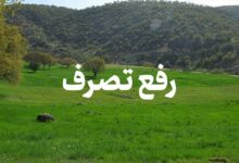 پایان زمین‎خواری ۱۳ میلیارد تومانی در بندرانزلی با اقدام پلیس