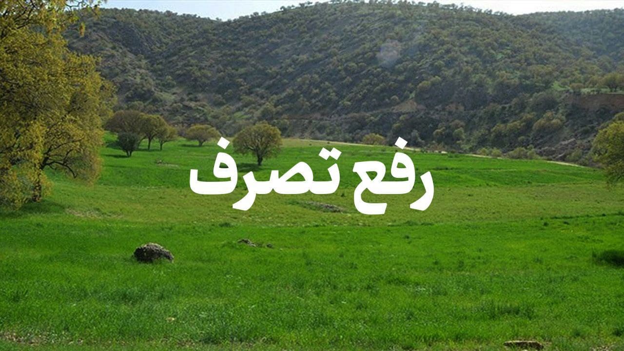 پایان زمین‎خواری ۱۳ میلیارد تومانی در بندرانزلی با اقدام پلیس