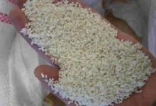 برنج