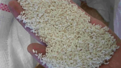 برنج