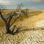 کاهش ۴۰ درصدی بارش ها در سال جاری