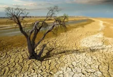 کاهش ۴۰ درصدی بارش ها در سال جاری