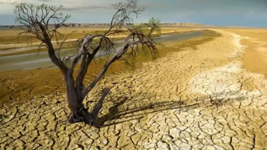 کاهش ۴۰ درصدی بارش ها در سال جاری
