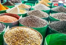 آفت و خشکسالی عامل اصلی افزایش قیمت حبوبات هستند / قیمت عمده‌فروشی لوبیا چیتی بین ۳۵۰ هزار تا ۳۸۰ هزار تومان است
