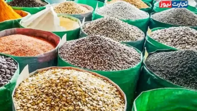 آفت و خشکسالی عامل اصلی افزایش قیمت حبوبات هستند / قیمت عمده‌فروشی لوبیا چیتی بین ۳۵۰ هزار تا ۳۸۰ هزار تومان است