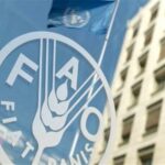 افزایش شاخص قیمت مواد غذایی فائو در ماه ژوئیه