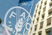 افزایش شاخص قیمت مواد غذایی فائو در ماه ژوئیه