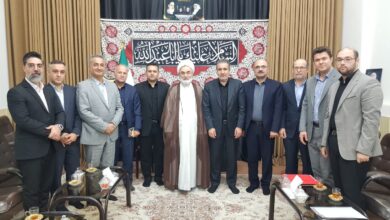 تغییر رویکرد از «کارخانه‌سازی» به «صنعت‌سازی» و تمرکز بر صنایع کوچک و متوسط سازگار با محیط‌زیست