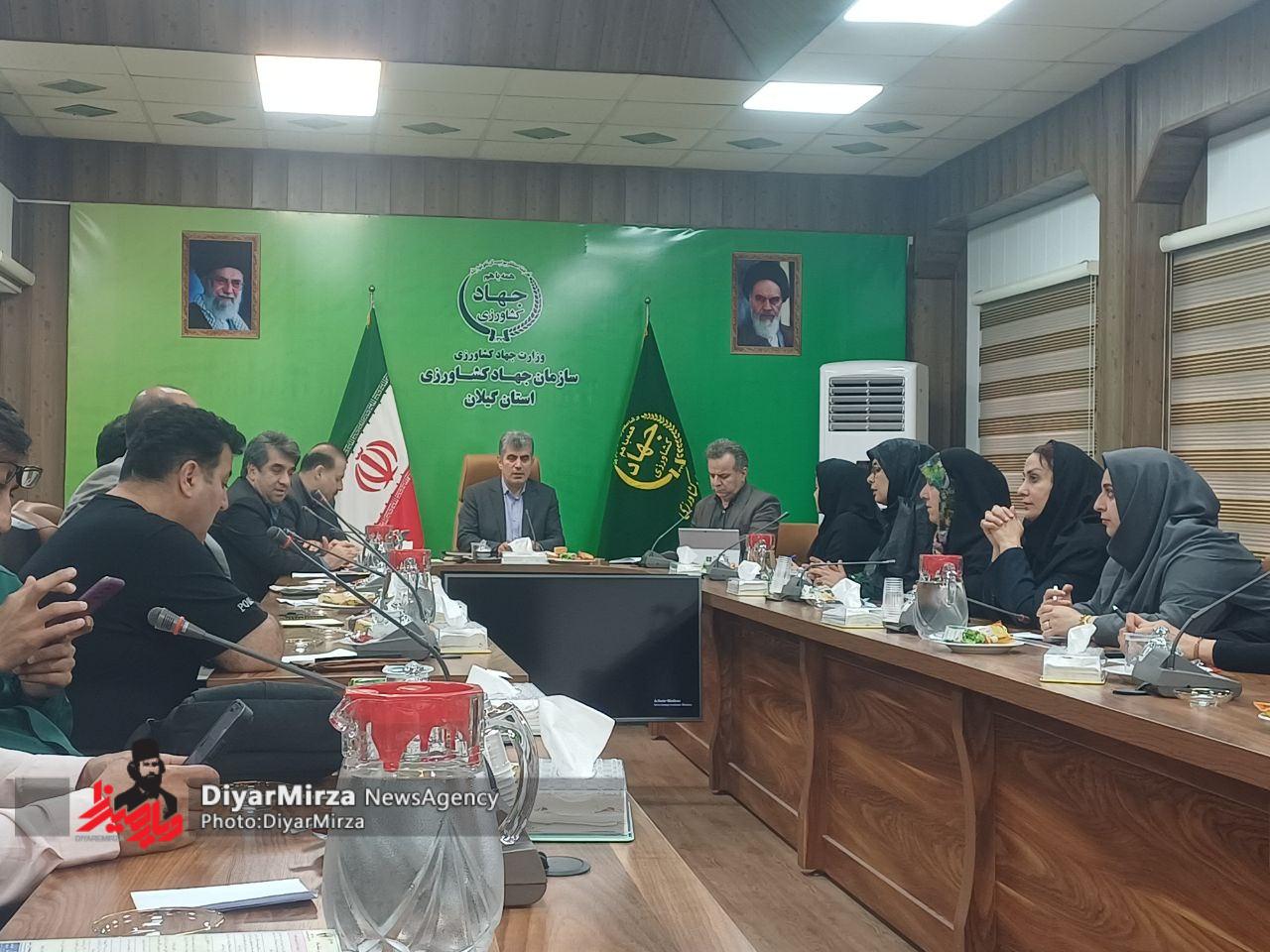 توسعه مکانیزاسیون ضروری است؛ باید شرایط خرید برنج برای همه اقشار جامعه فراهم شود