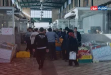 تولید تخم‌مرغ همچنان در سطح بالایی قرار دارد / مرغداران تخم‌مرغ را ۳۰ درصد زیر قیمت تمام‌شده به فروش می‌رسانند