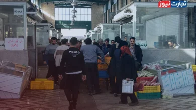 تولید تخم‌مرغ همچنان در سطح بالایی قرار دارد / مرغداران تخم‌مرغ را ۳۰ درصد زیر قیمت تمام‌شده به فروش می‌رسانند