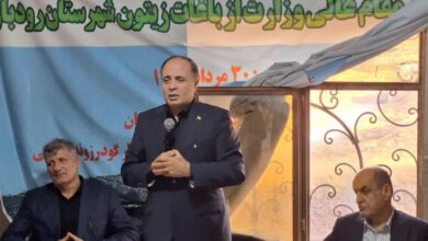 ثبت چهارمین کلکسیون بین‌المللی زیتون کشور در ایستگاه رودبار زیتون