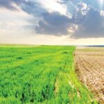جهش قیمت جهانی مواد غذایی به دلیل تغییرات اقلیمی