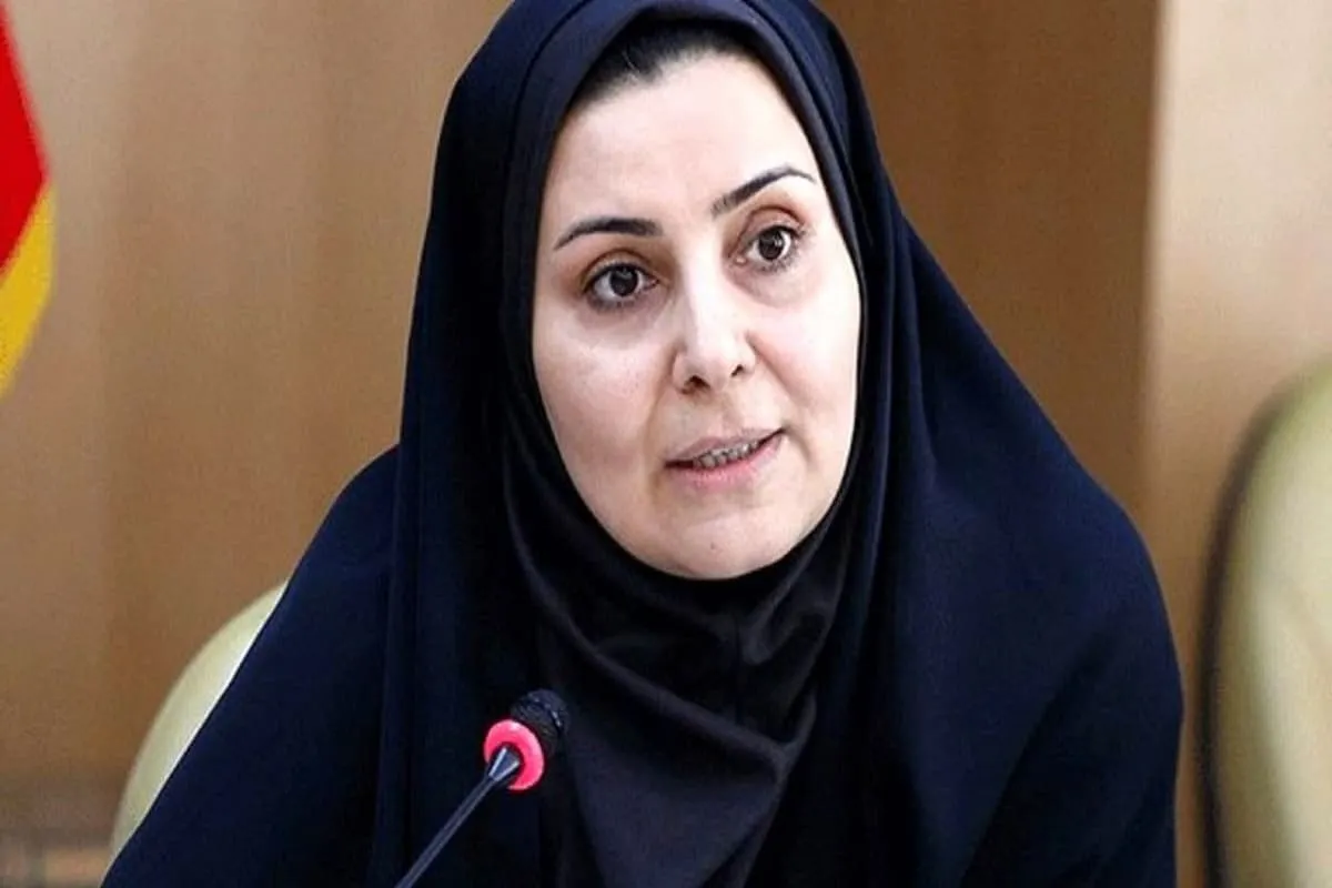 وزیر راه: در صورت موافقت عراق تعداد پروازهای اربعین افزایش می‌یابد