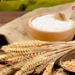 دولت مطالبات گندمکاران را به صورت قطره‌چکانی پرداخت می‌کند / دولت باید با ارائه تسهیلات بحث افزایش قیمت نان را مدیریت می‌کرد