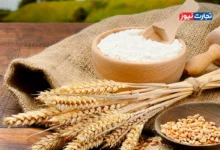 دولت مطالبات گندمکاران را به صورت قطره‌چکانی پرداخت می‌کند / دولت باید با ارائه تسهیلات بحث افزایش قیمت نان را مدیریت می‌کرد