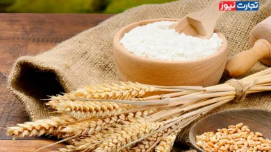 دولت مطالبات گندمکاران را به صورت قطره‌چکانی پرداخت می‌کند / دولت باید با ارائه تسهیلات بحث افزایش قیمت نان را مدیریت می‌کرد
