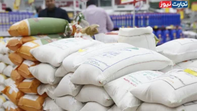 قیمت برنج‌های سال گذشته در فروشگاه‌ها به ۳۸۰ هزار تومان هم می‌رسد / برنج وارداتی با نرخ ارز آزاد به فروش می‌رسد