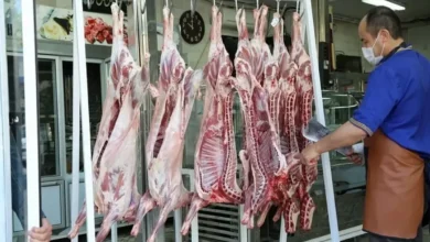 قیمت گوشت قرمز ت