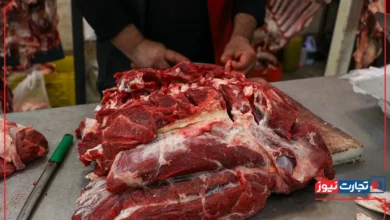 قیمت گوشت قرمز امروز ۱۱ مرداد ۱۴۰۴ مشخص شد / بازار در اولین روز هفته در چه وضعیتی قرار دارد؟